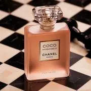 cocoポニョの画像