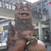 ZOROの画像