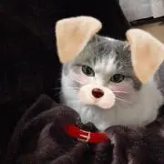 なおさま