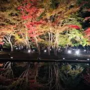 @ZiM みずーりの画像