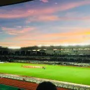 リンタパパ