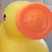ななんの画像