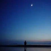 デーヴァダッタ(プロフ一読お願いします)の画像
