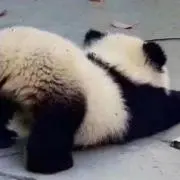 のんの画像