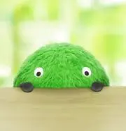 ピヨの画像