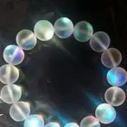 杉本 直樹の画像