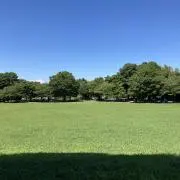 ~Numbre Records~の画像