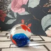 ♡もも♡の画像
