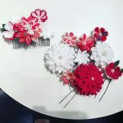 waterlilyの画像