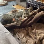 エド