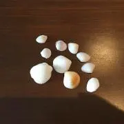 Jack23の画像