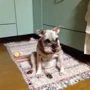 TBマスター