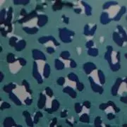 sattyの画像
