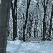 断捨離コ☆即購入okです(^。^)の画像