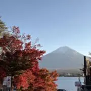 Haru [安心取引、プロフ必読]の画像