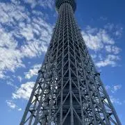 ポンの画像