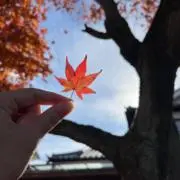 。の画像