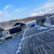 ロムの画像