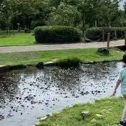 kcの画像