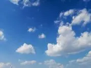 キオの画像