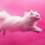 もこもこパンツの画像