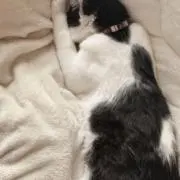 ☆※プロフ必読の画像