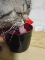 スイカ