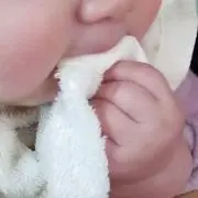 フンちゃん