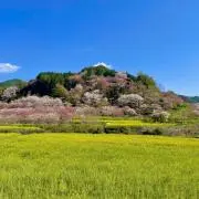risaの画像