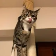 ゆうの画像
