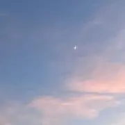 ほんたの画像