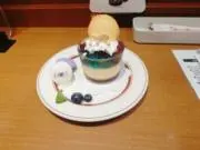 かもの画像