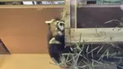 みんとの画像