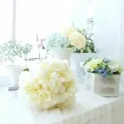ななな☆の画像