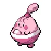 ankoの画像
