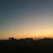 鶏白湯鍋の画像