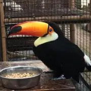 わいあーるの画像