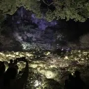 りさの画像
