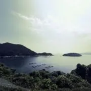 ゴルムの画像
