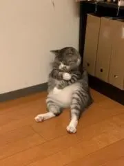 ジャンケンの画像