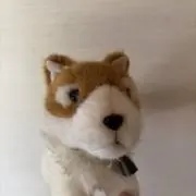 nyanyaの画像