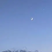 Rの画像