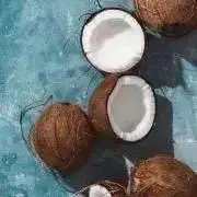 nuts.の画像