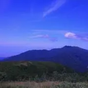 ticoi