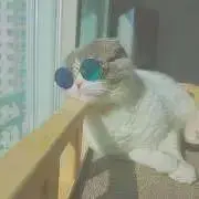 ♡coco♡おまとめ割引できます✧*。