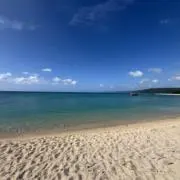 REaの画像