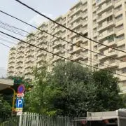 まーの画像