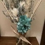 もかしばの画像