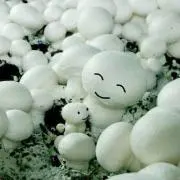 海月