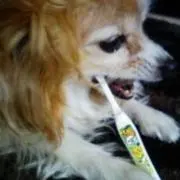 もりもり